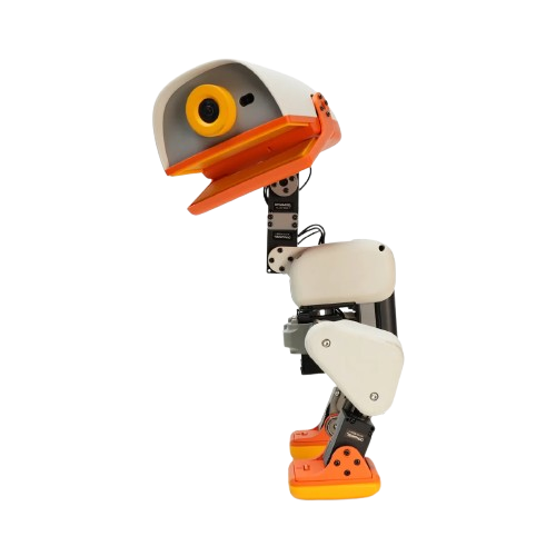 Microduck view 2